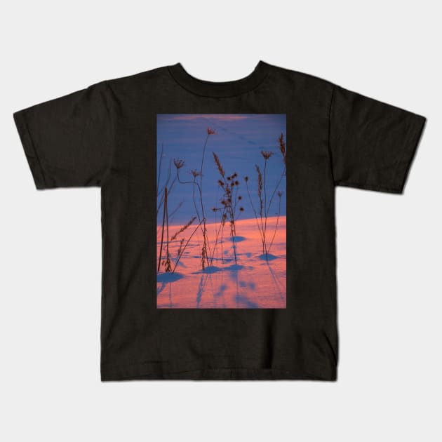 silhouettes of dry grass at sunset in a snowy field Kids T-Shirt by Olga Berlet